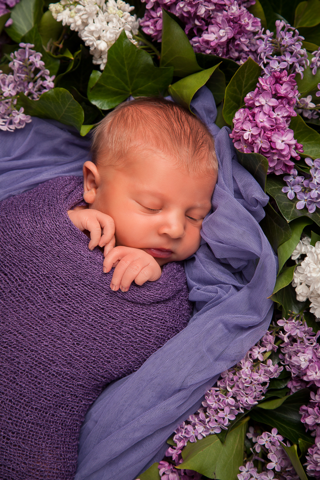 1919_Newborn_Johanna-0454-Bearbeitet Schmeiser Barbara Fotografin - Baby und Flieder